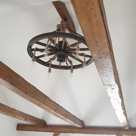 Seensucht & Urlaubstraeume, Ferienwohnung "Seeadler" Großräschen Kültér fotó