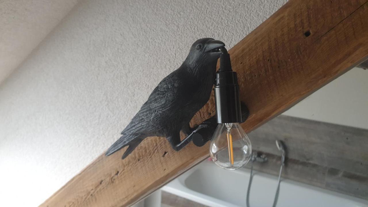 Seensucht & Urlaubstraeume, Ferienwohnung "Seeadler" Großräschen Kültér fotó